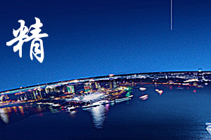是指企业经营管理精细化水平高，在生产、管理、服务等领域均有精细化的管理流程、体系、制度，输出的服务或产品优良